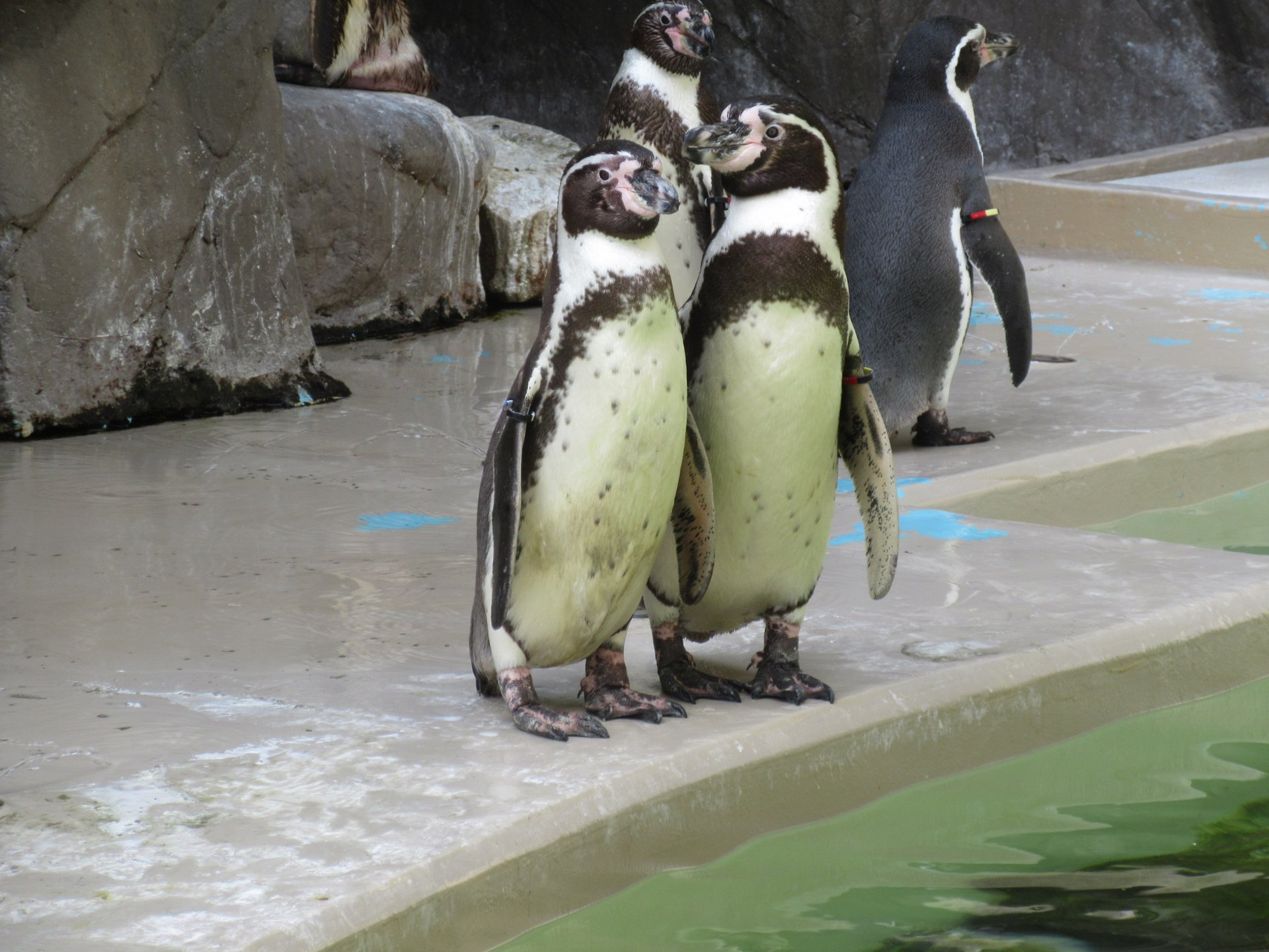 新潟市水族館マリンピア日本海