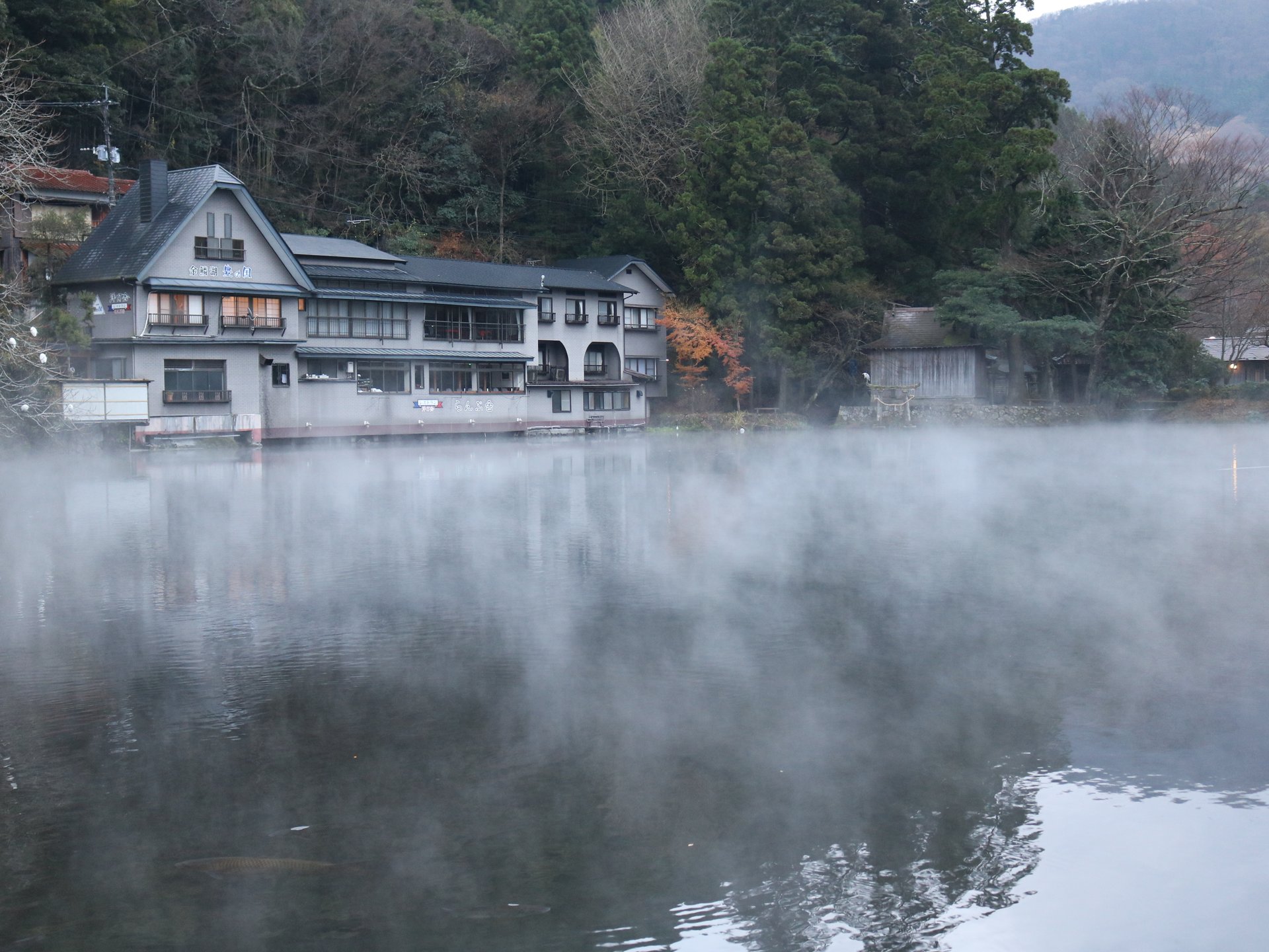 【由布院】秋～冬の名物！朝にお散歩がてら、幻想的な朝霧が立ち込める金鱗湖を見に行こう♪