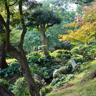 縮景園売店・泉水亭