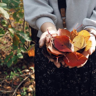 紅葉八幡宮