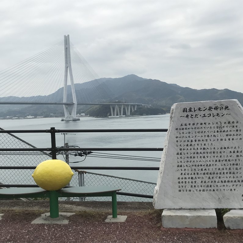 多々羅大橋