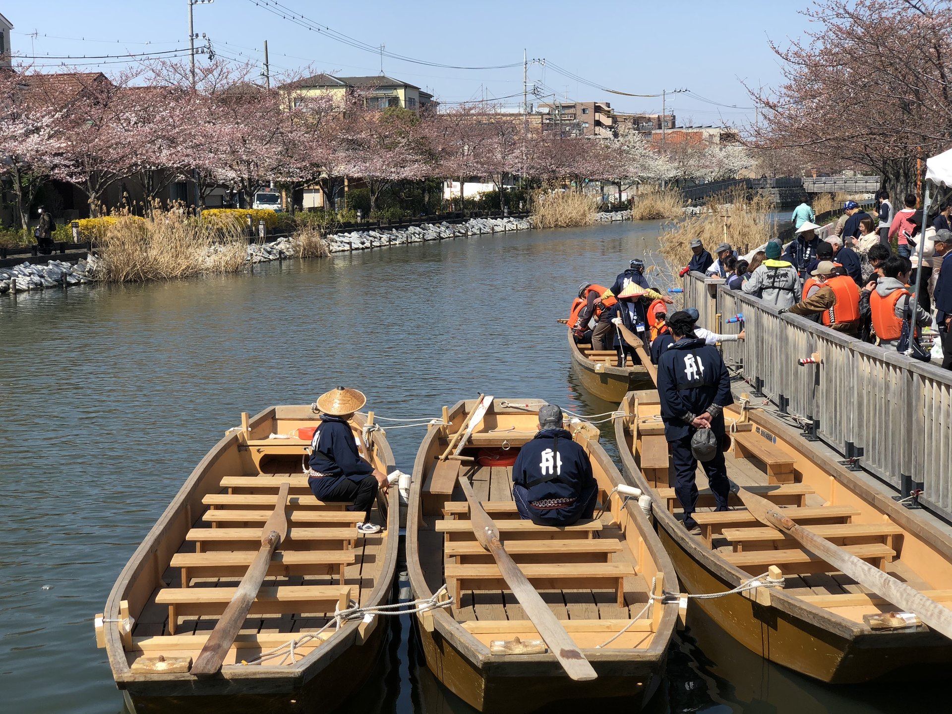 都内おすすめお花見スポット♡江戸川区おすすめ穴場・桜見ながら船遊び体験