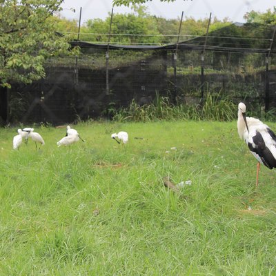 葛西臨海公園