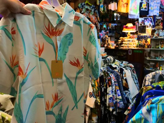 Bailey’s Antiques&Aloha Shirts