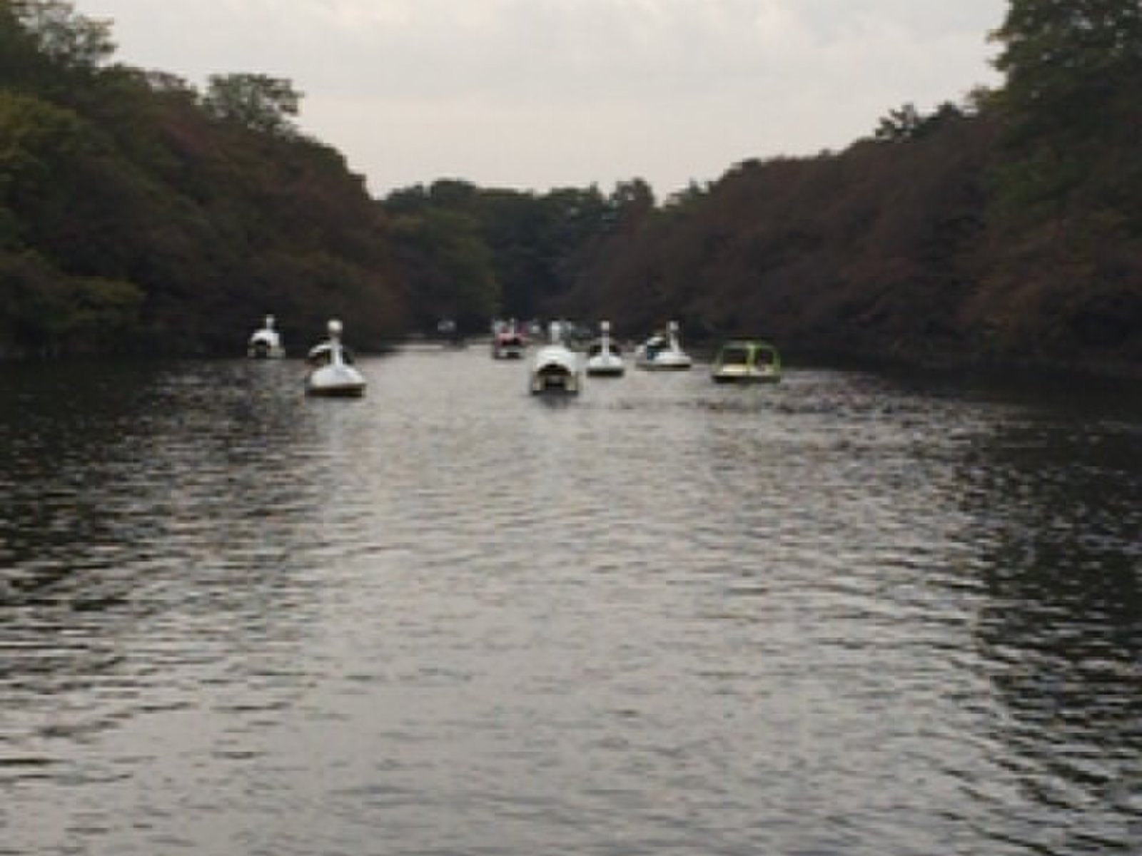 井の頭恩賜公園