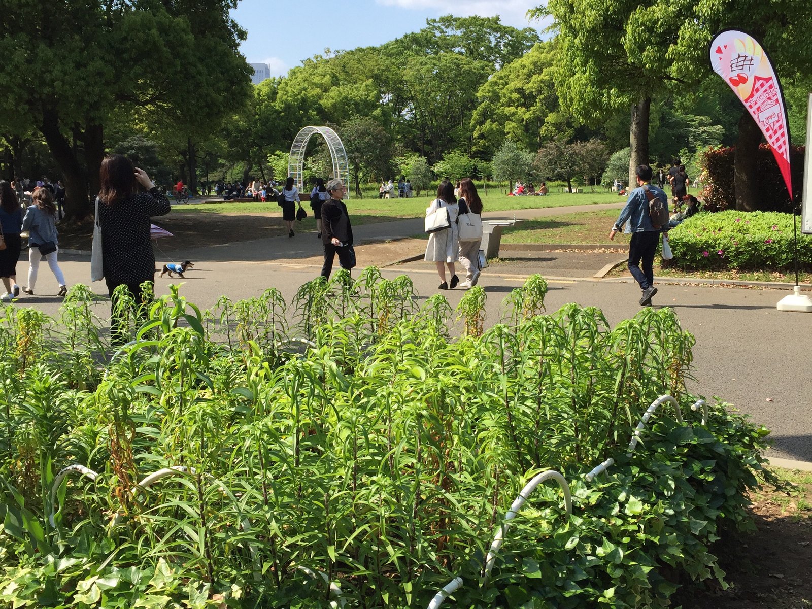 代々木公園