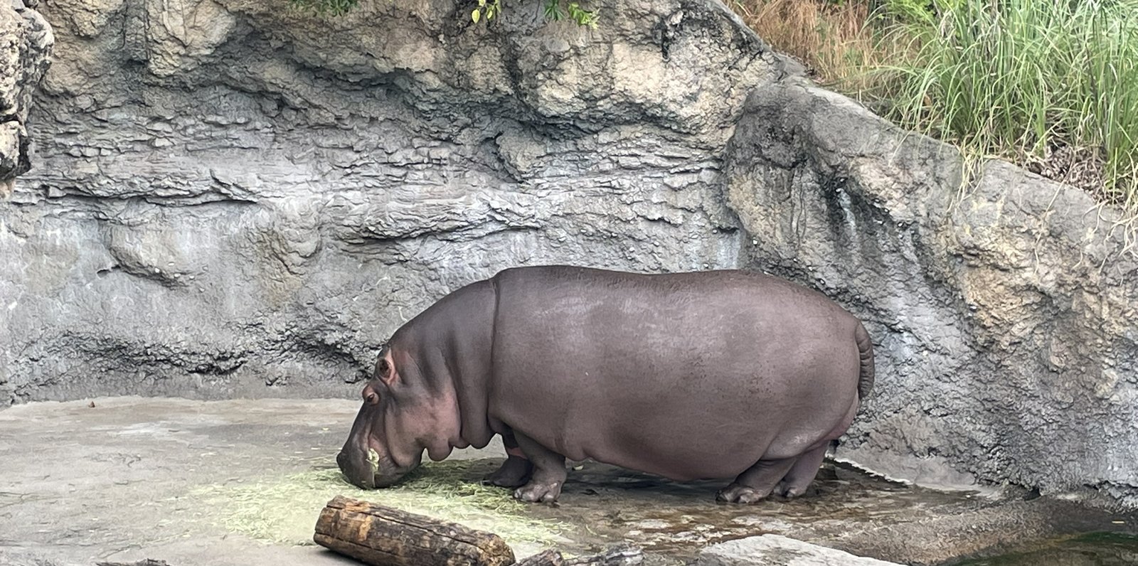 天王寺動物園