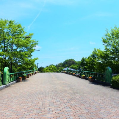 国営備北丘陵公園