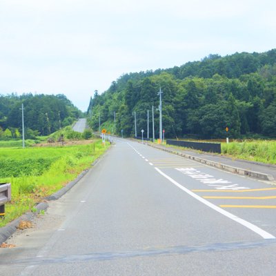 滋賀農業公園ブルーメの丘