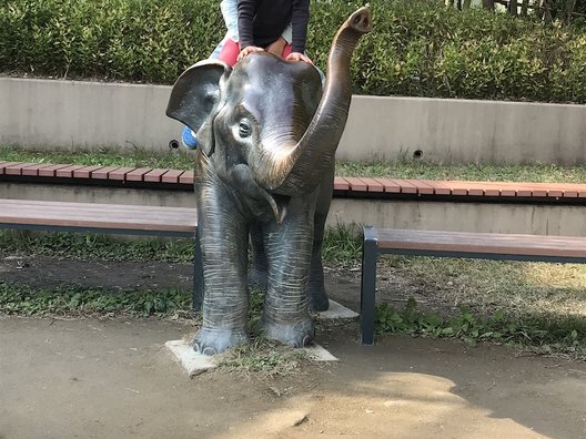 福岡市動植物園