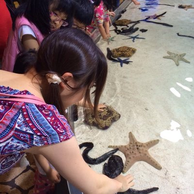 沖縄美ら海水族館