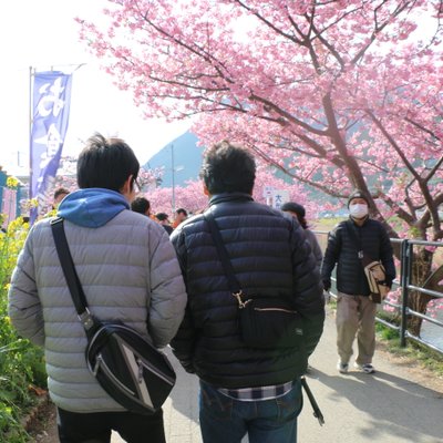 河津町観光協会 河津桜観光交流館・売店