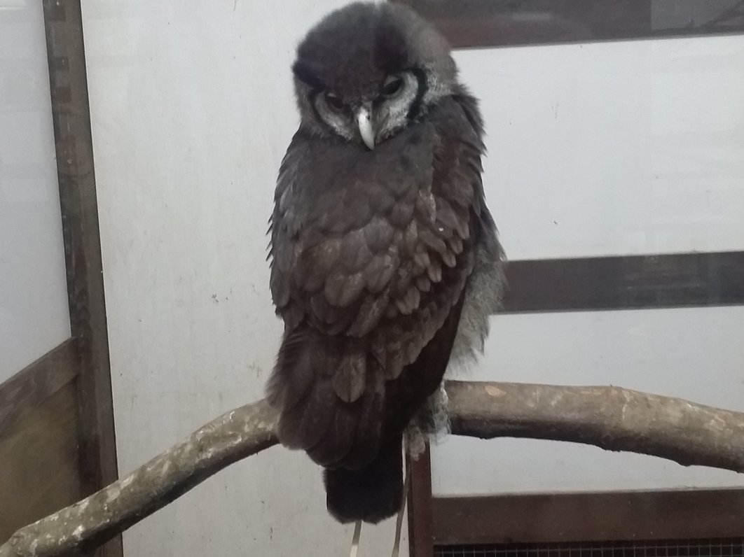 掛川花鳥園