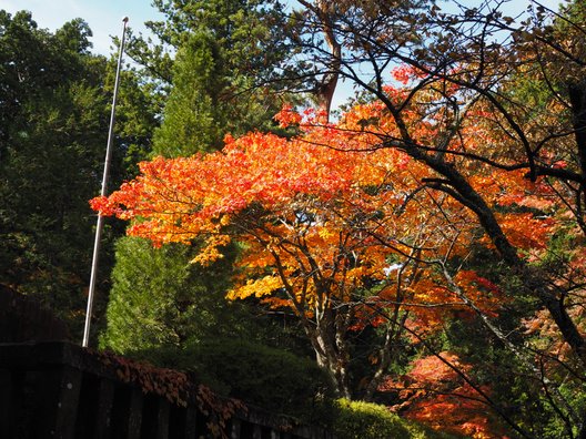 北口本宮冨士浅間神社