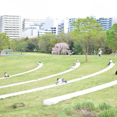 国営昭和記念公園