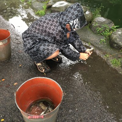 多摩川養殖つり堀場