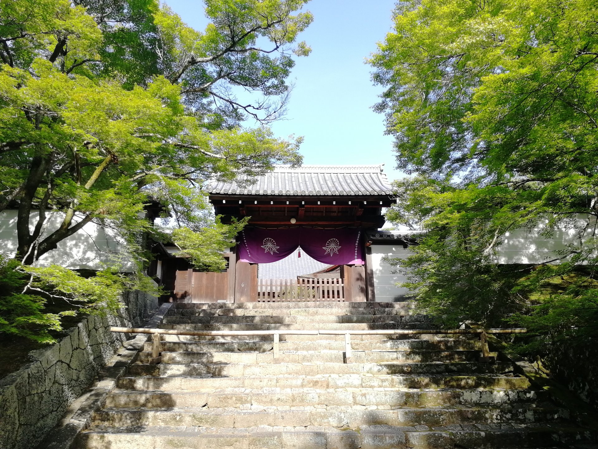 青もみじの京都、修学院の穴場は夏が見頃！【曼殊院、鷺ノ森神社】