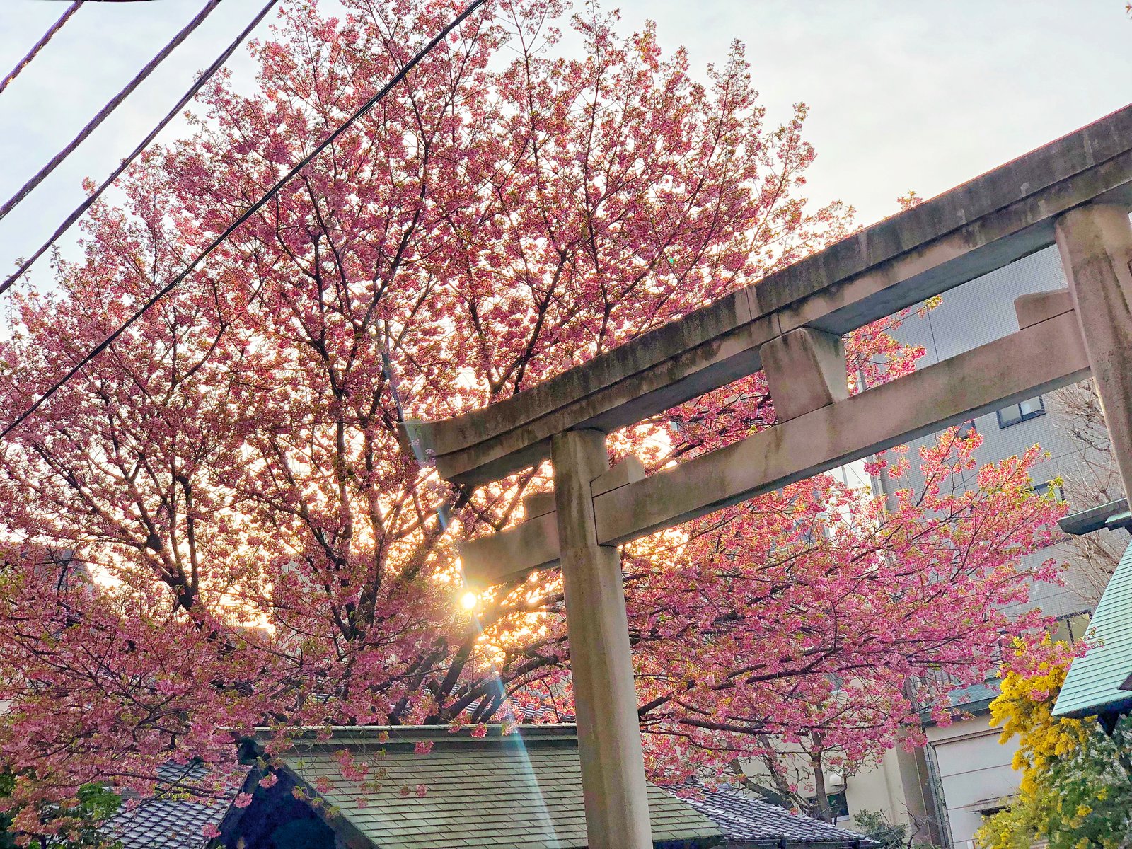 蔵前神社