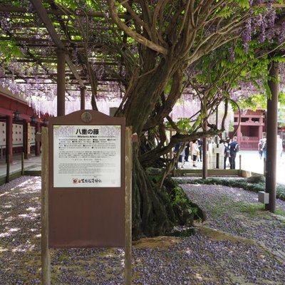 笠間稲荷神社