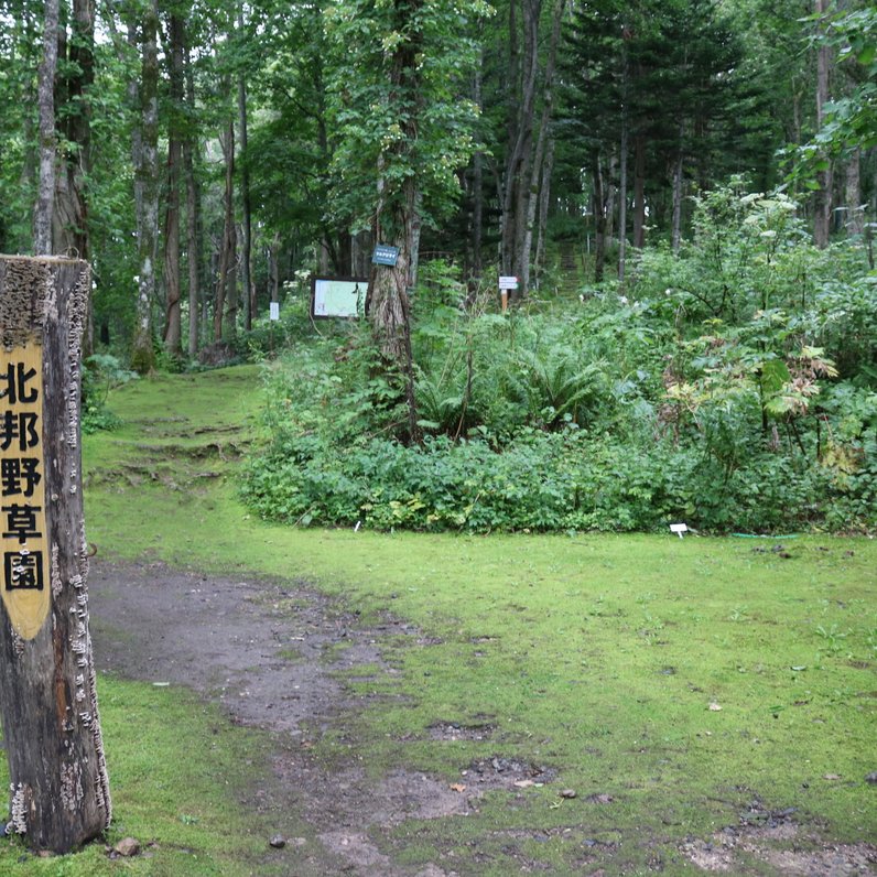 北邦野草園