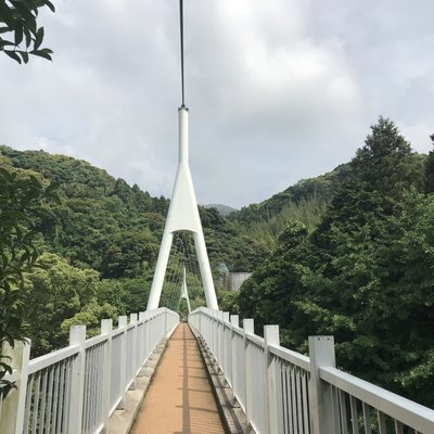 加茂ゆらりんこ橋