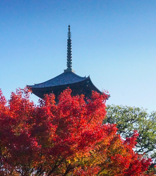 東寺(教王護国寺)