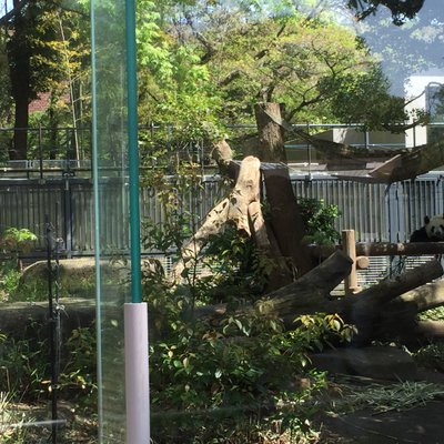 東京都恩賜上野動物園