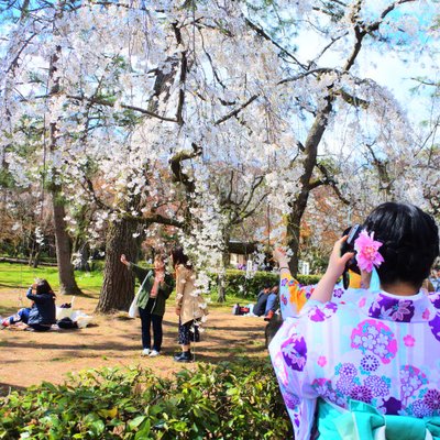 京都御苑