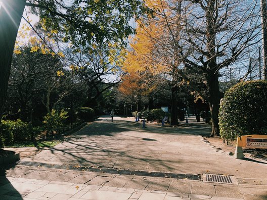 哲学堂公園