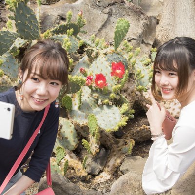 伊豆シャボテン動物公園