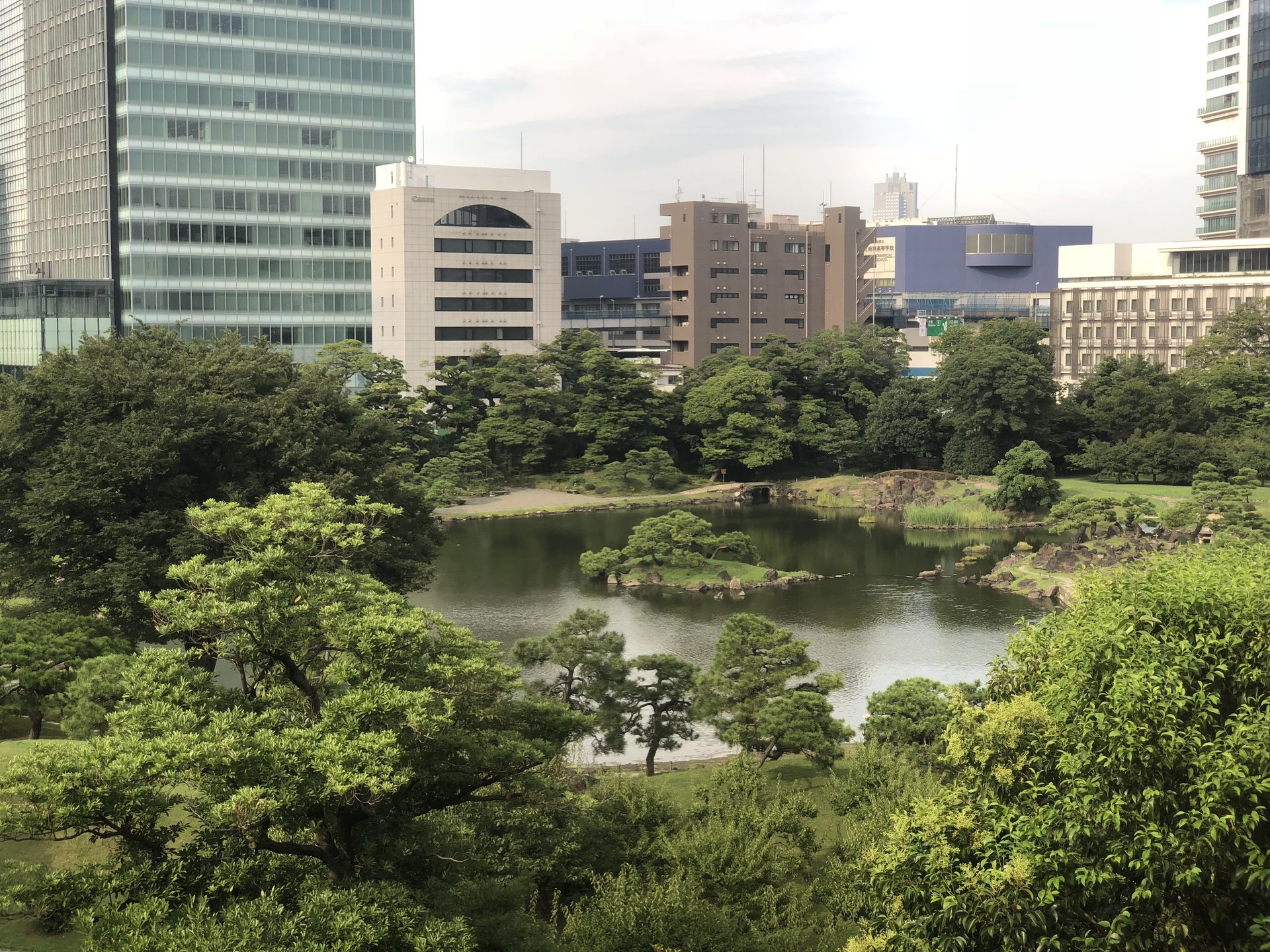 東京タワー・日本庭園など緑に囲まれた癒しエリア浜離宮周辺お散歩
