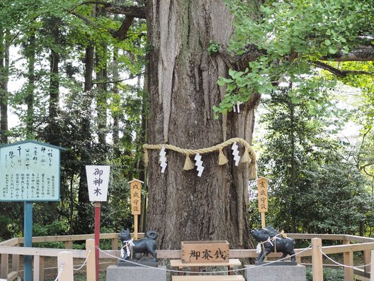 水戸八幡宮