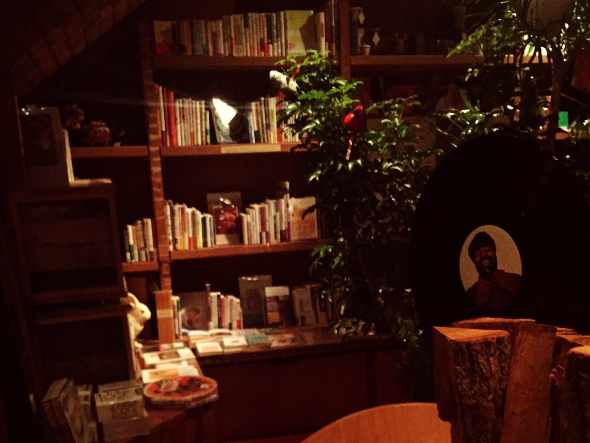 【新宿で2回目のデート】安すぎず高すぎずなおしゃれ＋αのカフェ”Brooklyn Parlor”