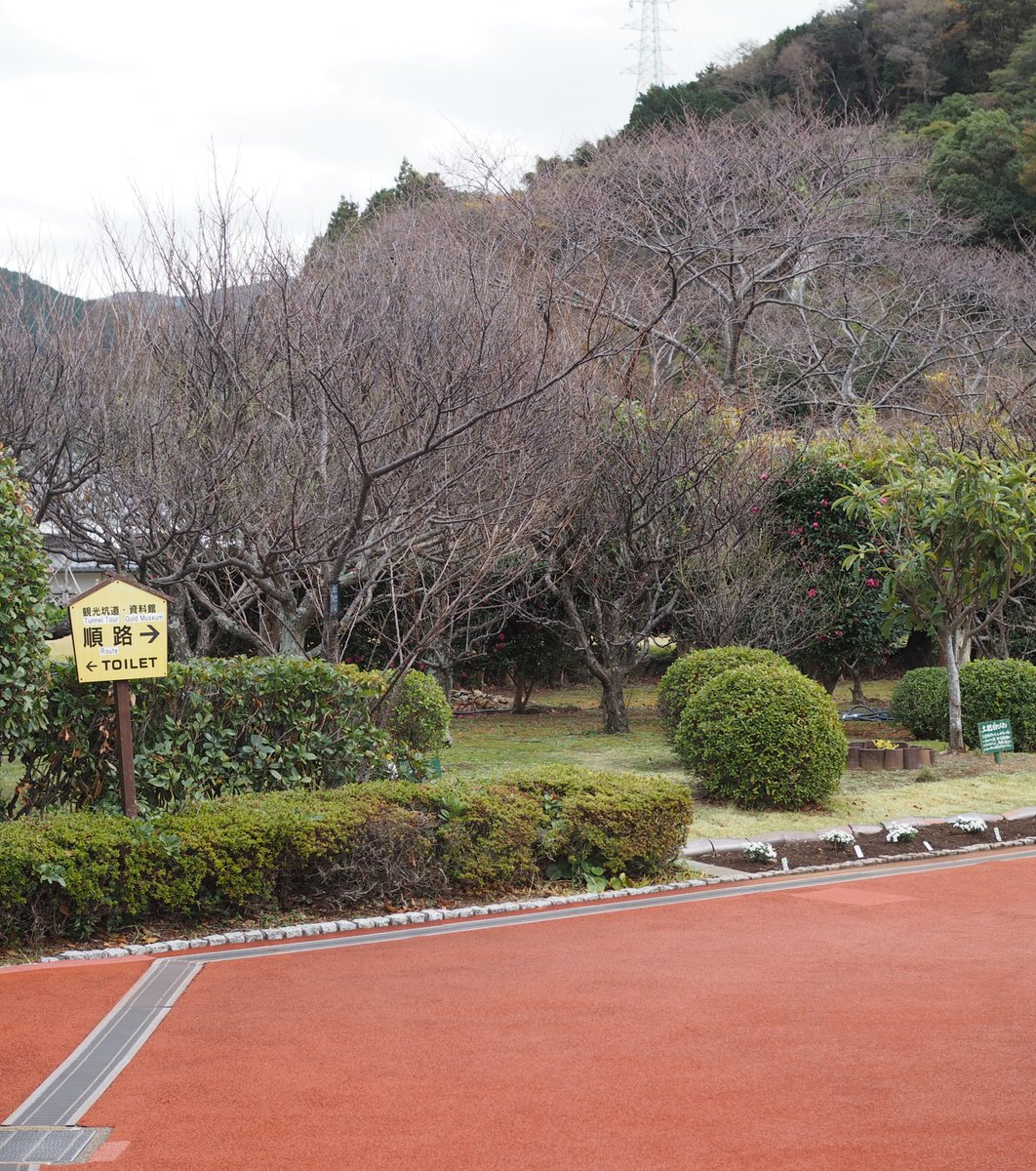 西伊豆 土肥金山（といきんざん）