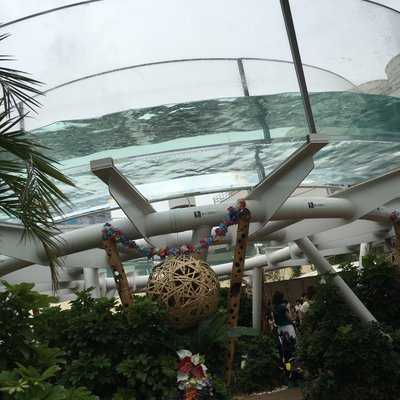 サンシャイン水族館