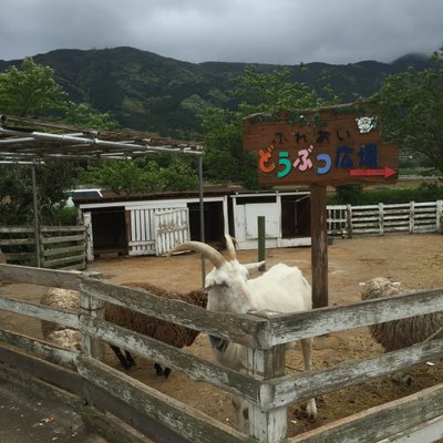 酪農王国オラッチェ