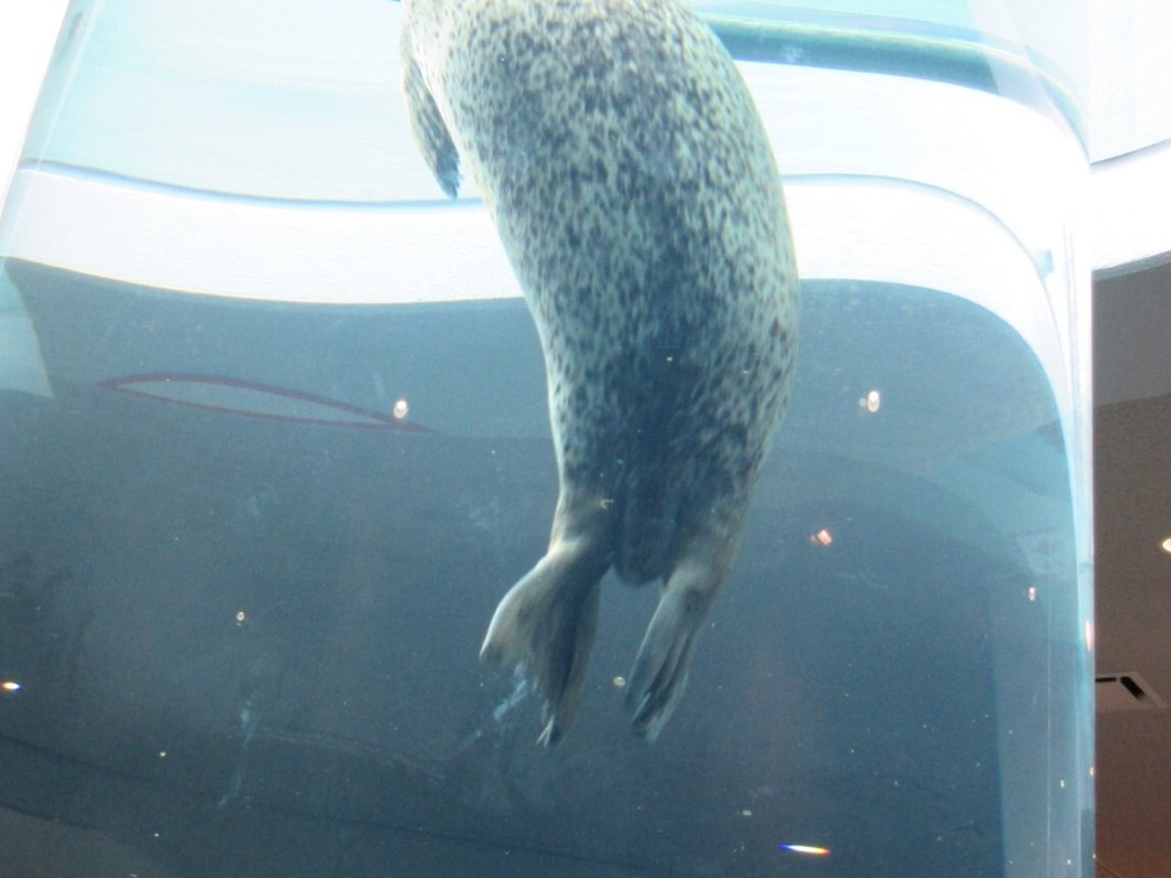 静岡市立日本平動物園レストハウス