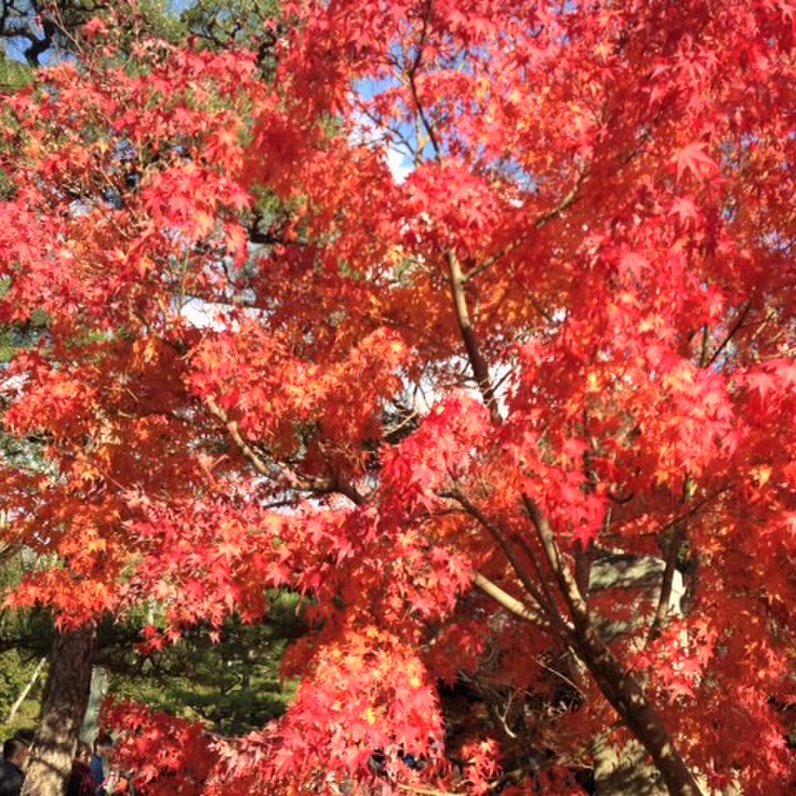 東福寺