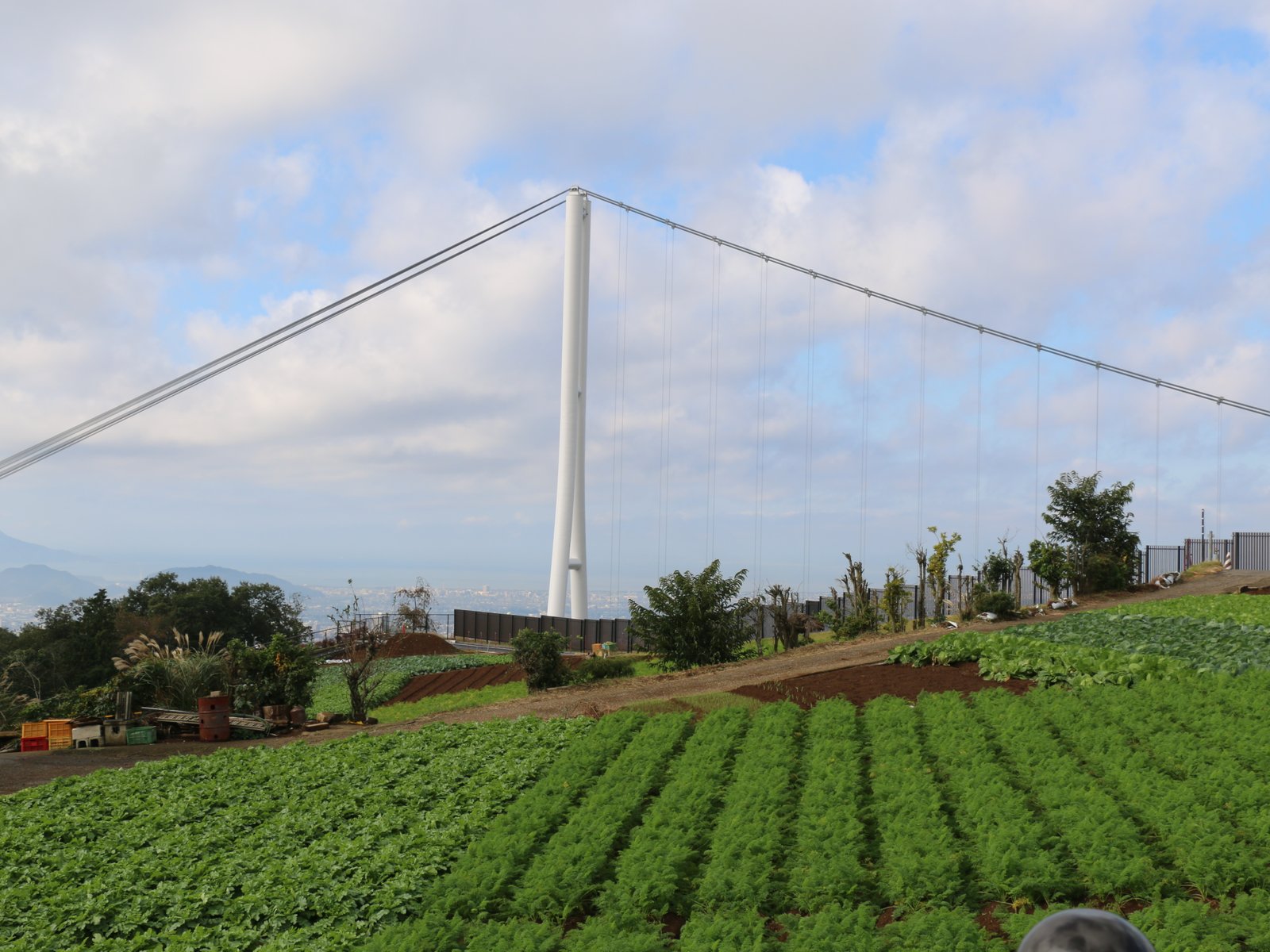 三島大吊橋 (三島スカイウォーク)