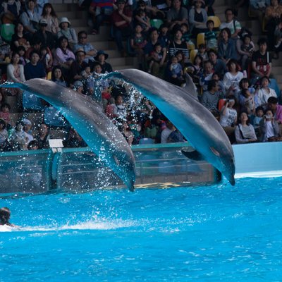 白浜アドベンチャーワールド