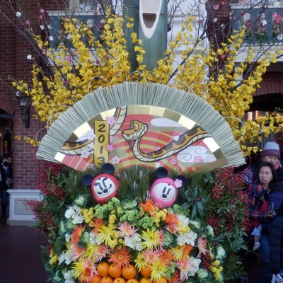 東京ディズニーランド(c)