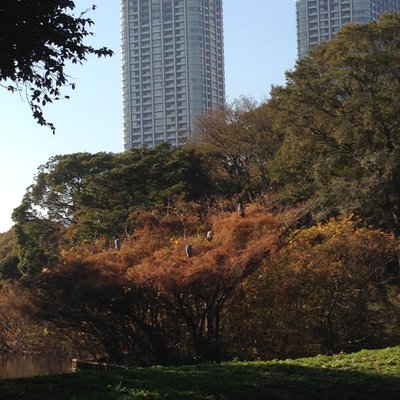 浜離宮恩賜庭園