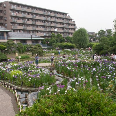 堀切菖蒲園