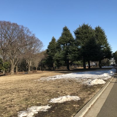 代々木公園