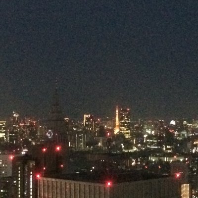 東京都庁　北展望室