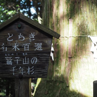 鷲子山上神社