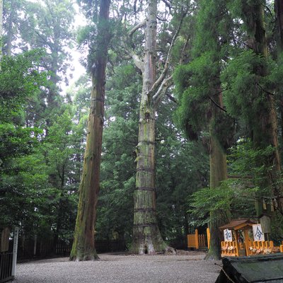 高千穂神社(十社大明神)