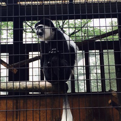 野毛山動物園