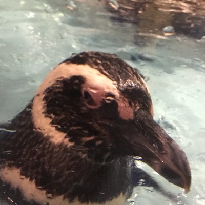 すみだ水族館