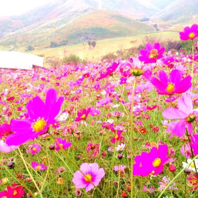 俵山交流館 萌の里